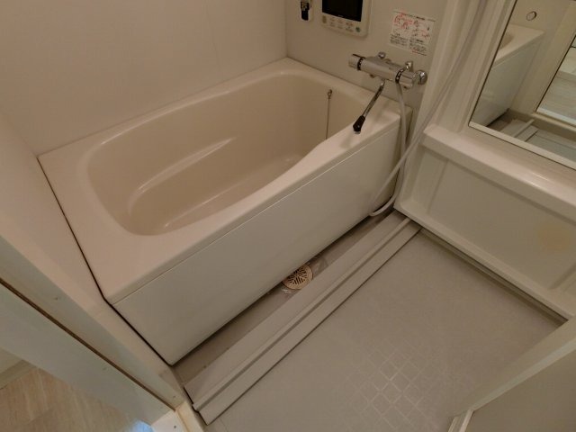 バス