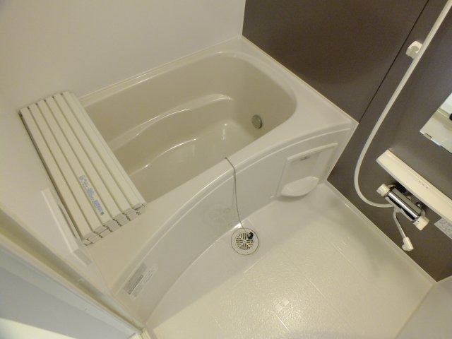 バス