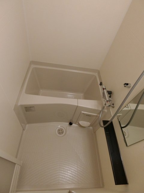 バス