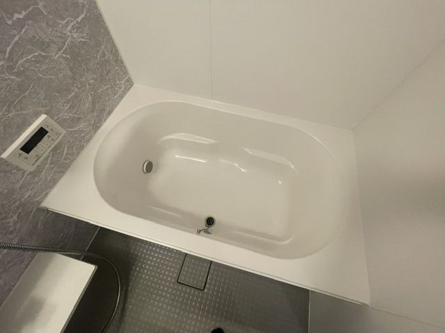 バス