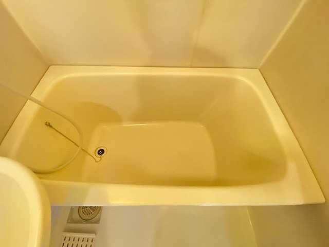 バス