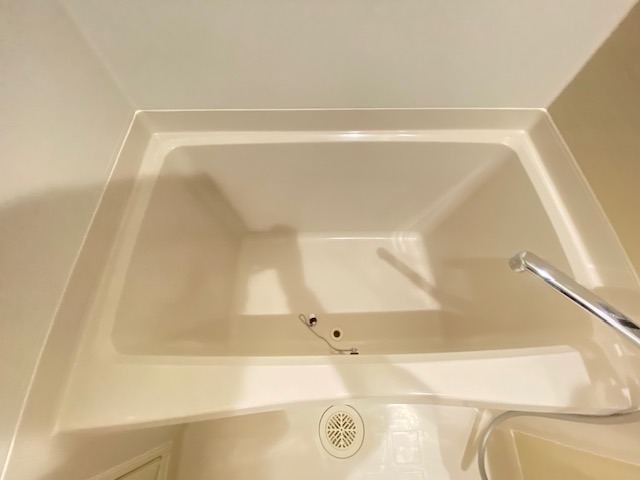 バス