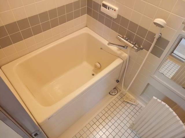 バス