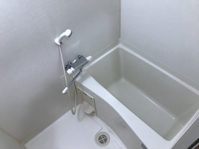 バス