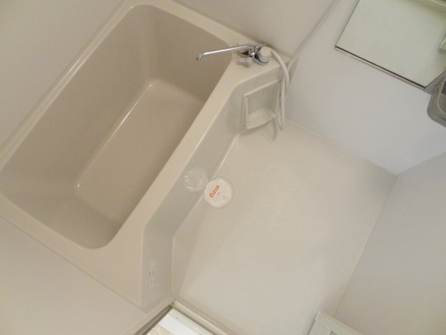 バス