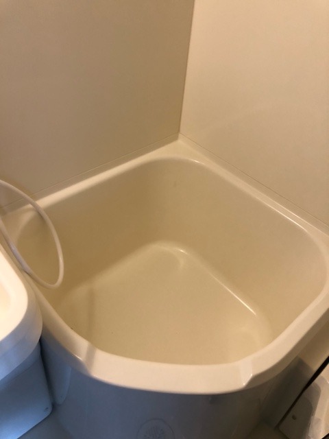 バス