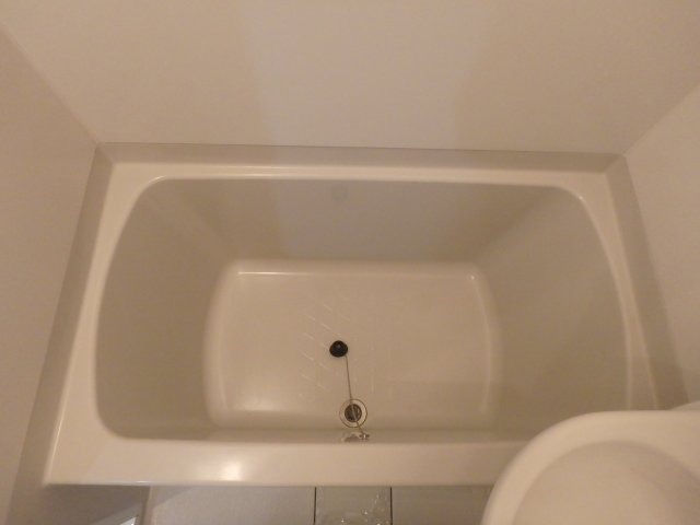 バス