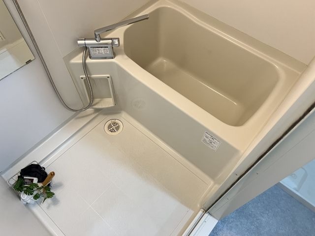 バス