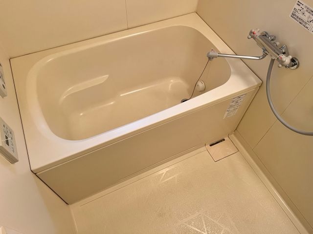 バス