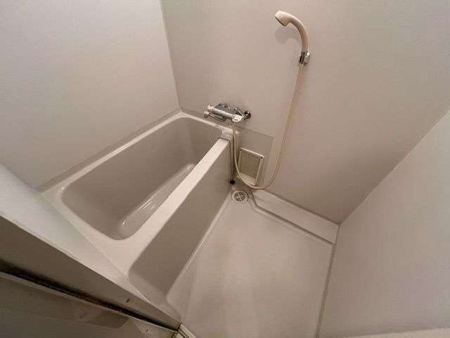 バス