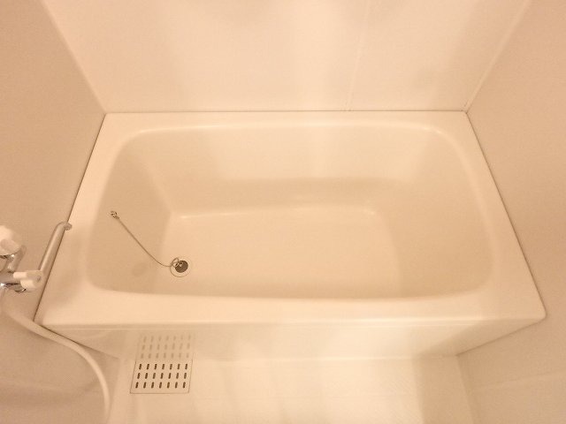 バス