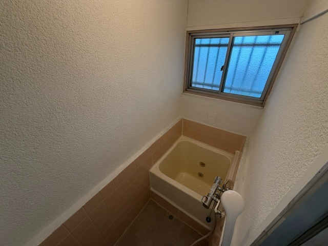 バス