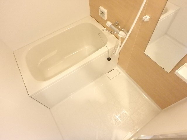 バス
