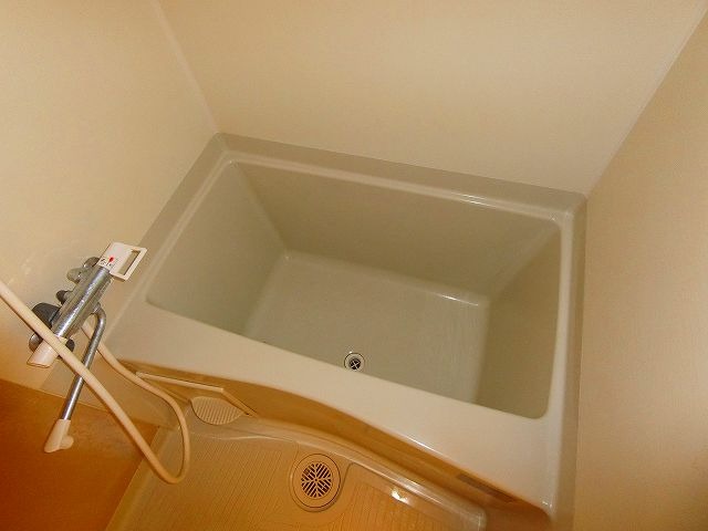 バス