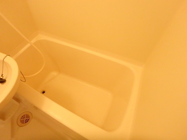 バス