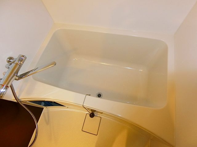 バス