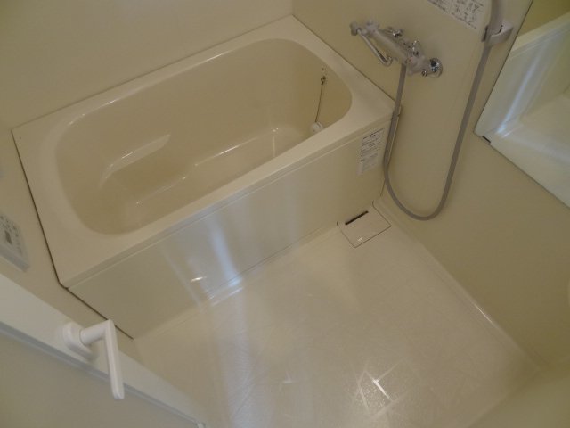 バス