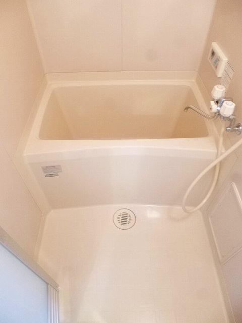 バス