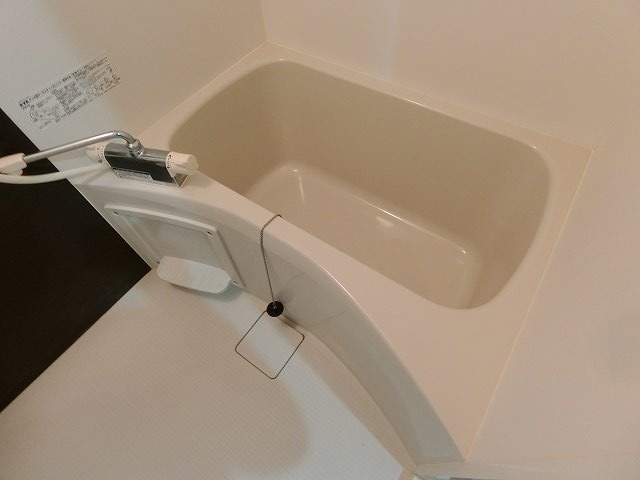 バス