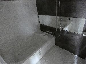バス