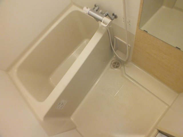バス