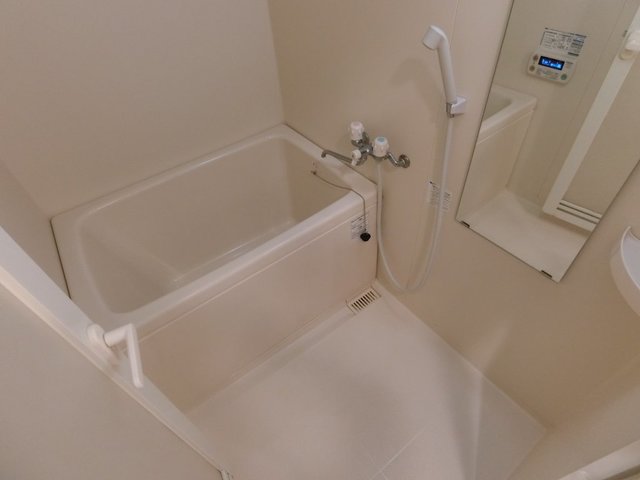 バス