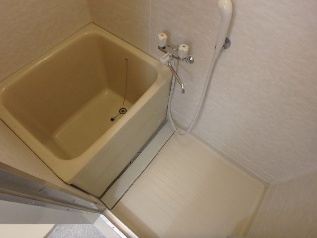 バス