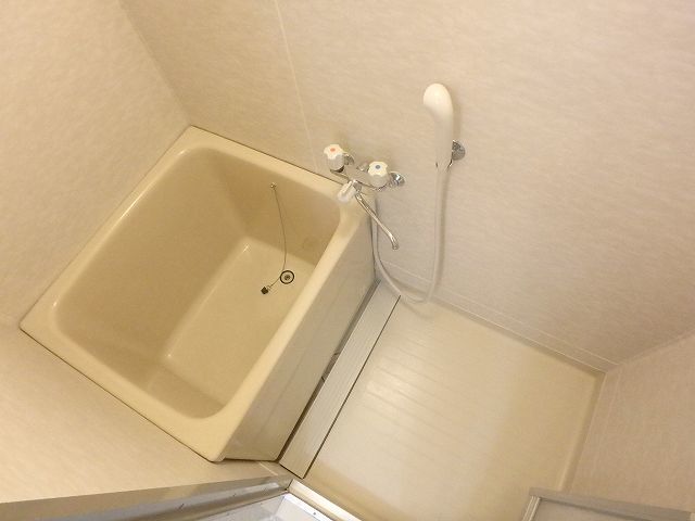バス