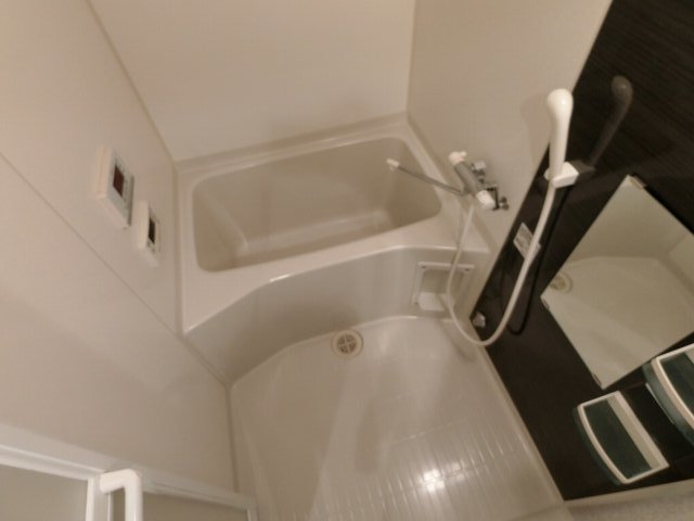 バス