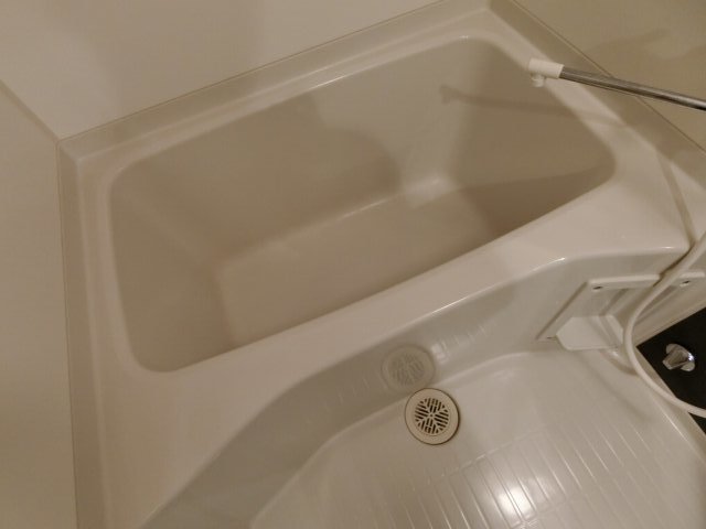 バス