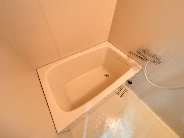 バス