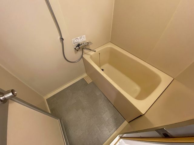 バス