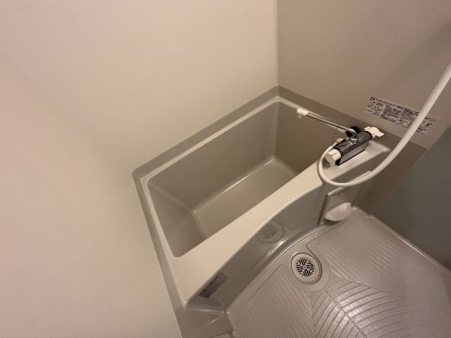 バス