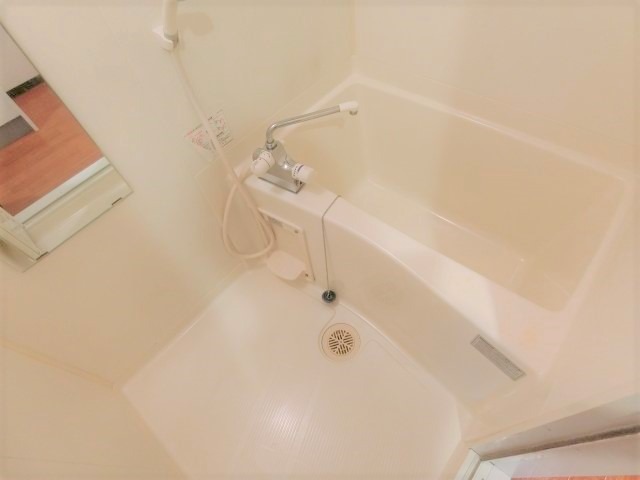 バス