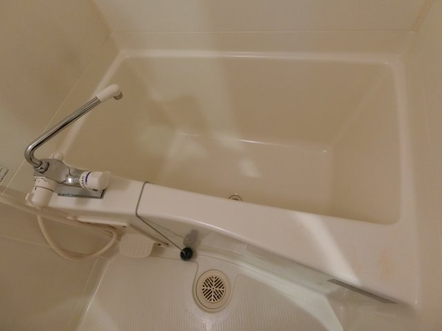 バス