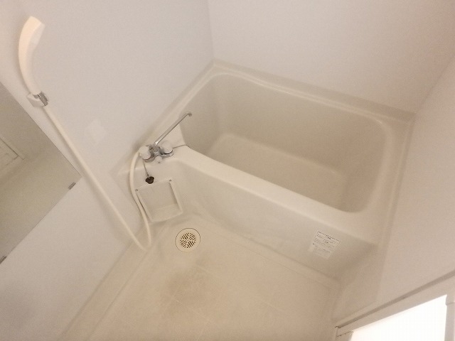 バス
