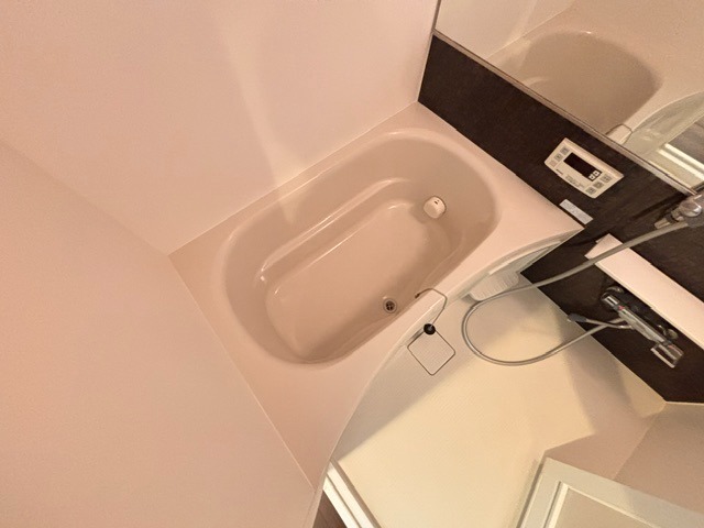 バス