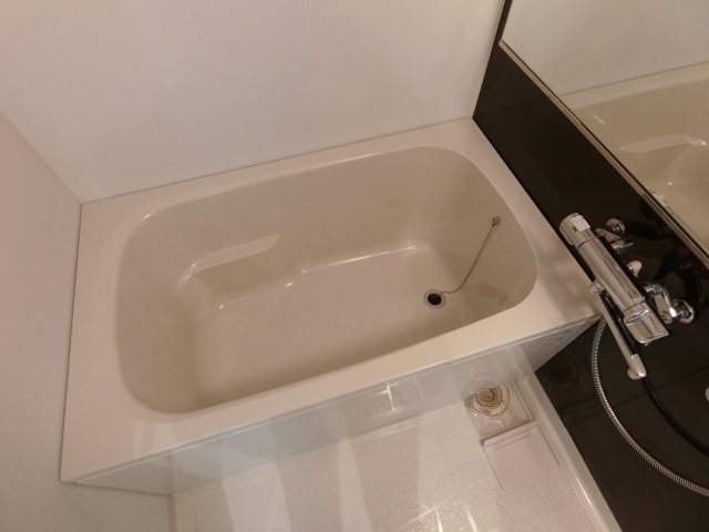 バス