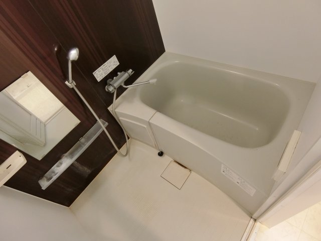 バス