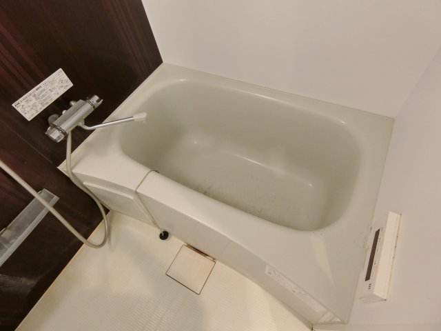 バス