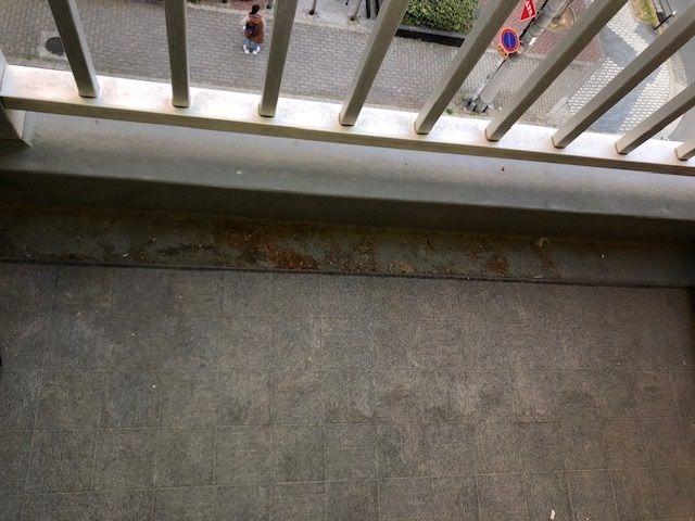 リノベーション