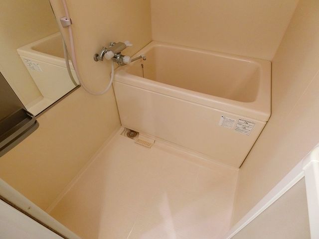 バス
