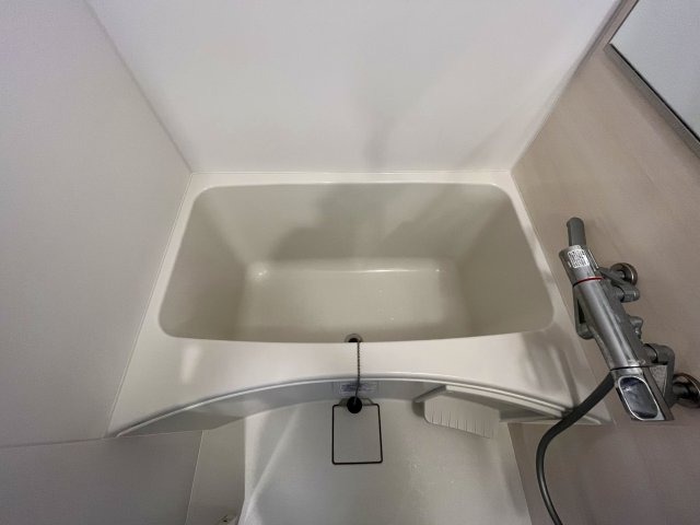 カラーパターン複数あり