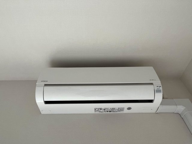 カラーパターン複数あり
