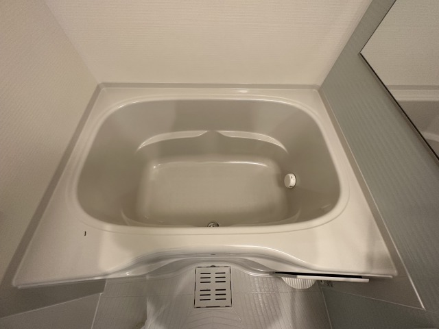 バス