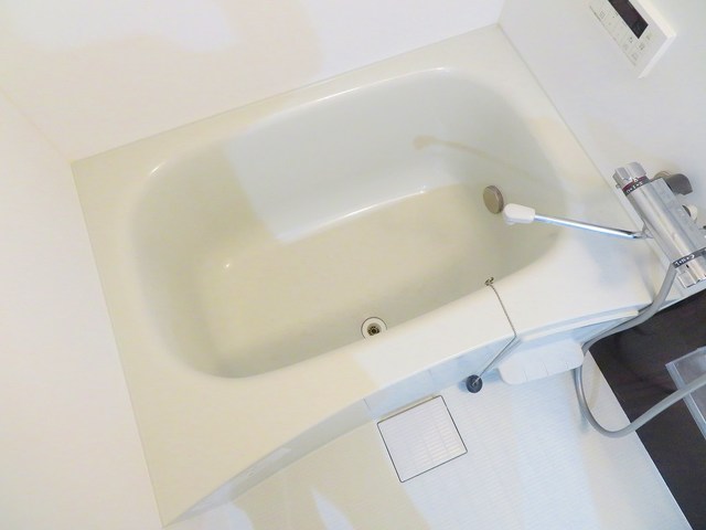 バス