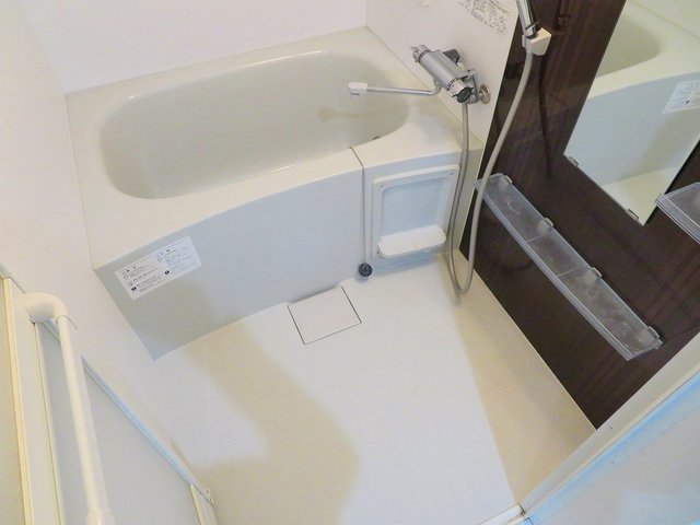 バス
