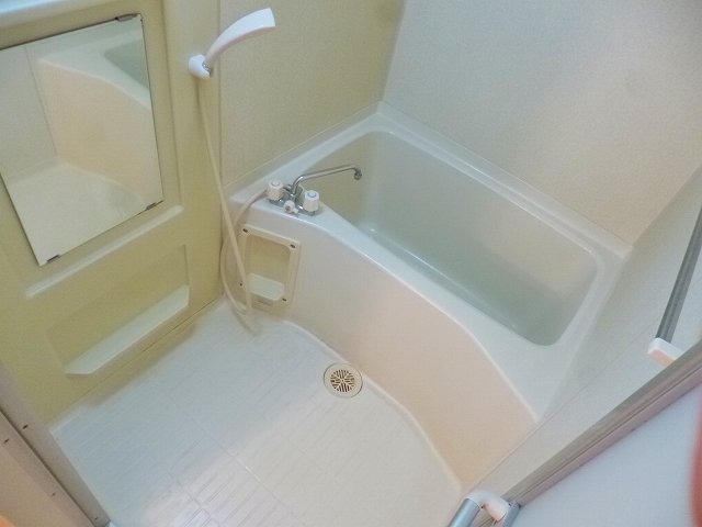 バス
