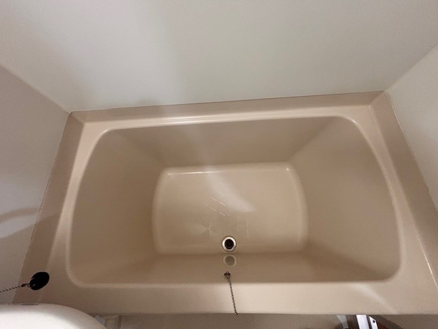 バス