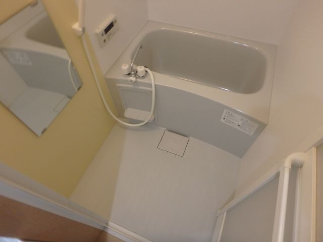 バス